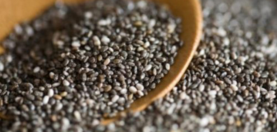I semi degli Indios: i semi di chia