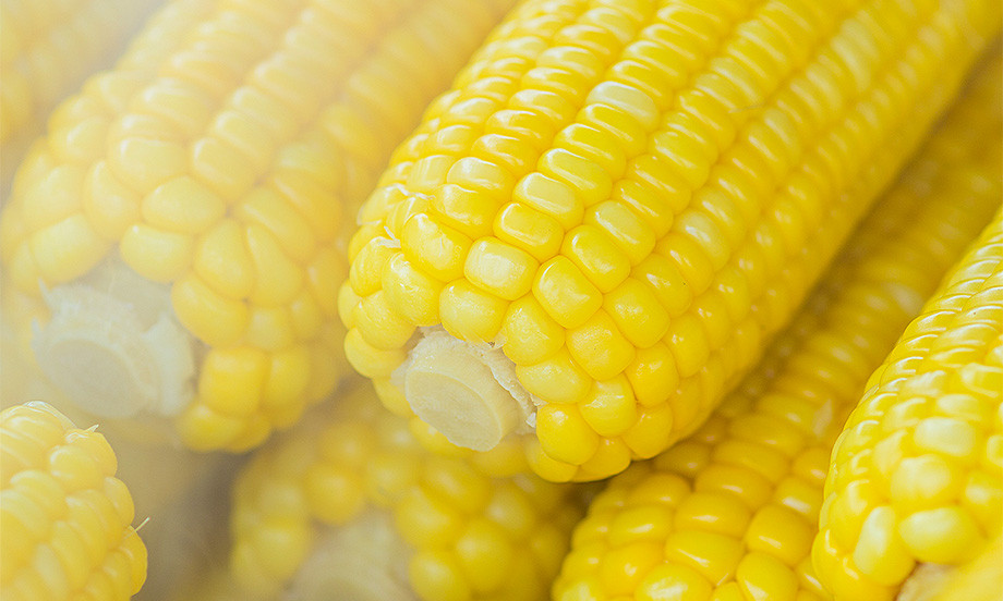 Mais: proprietà e benefici