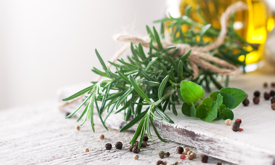 Il rosmarino: una pianta da venerare