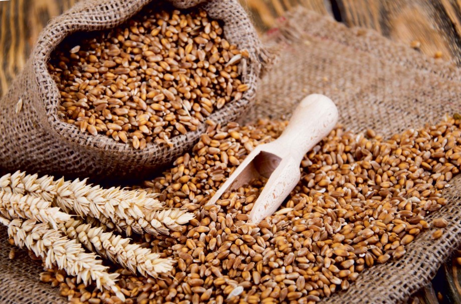 La segale: l’antico cereale di montagna